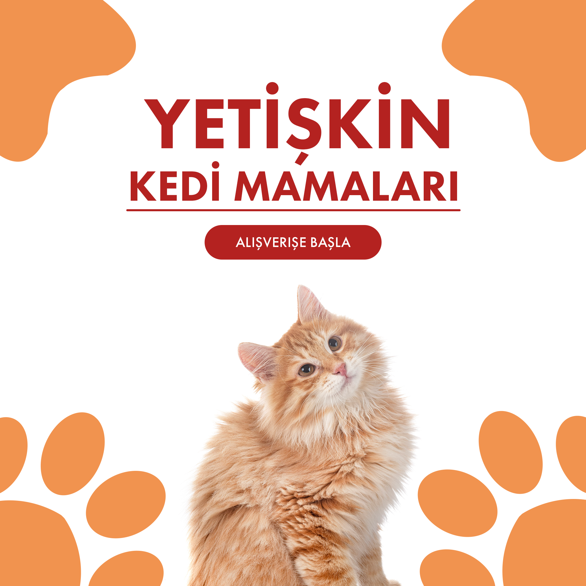 Yetişkin Kedi Mamaları